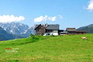 重慶旅游局獎勵旅行社(重慶獎勵旅游規劃)